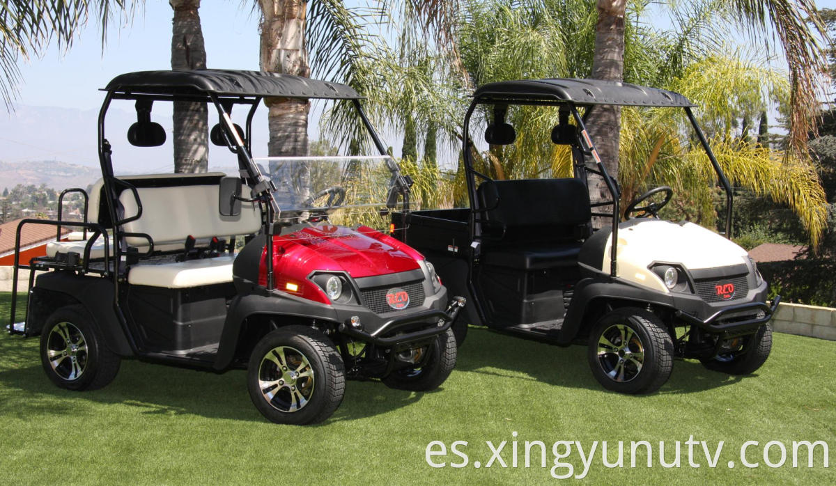 2020 Venta caliente Hot High y baja velocidad EFI 200cc UTV con EPA para adultos